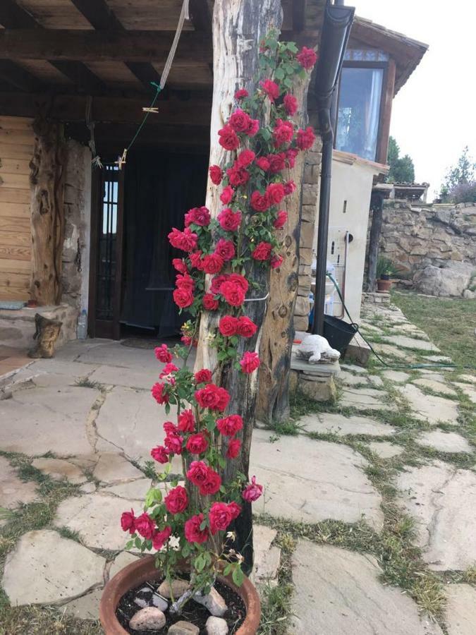 Monolocal Rural Con Encanto Valbona エクステリア 写真