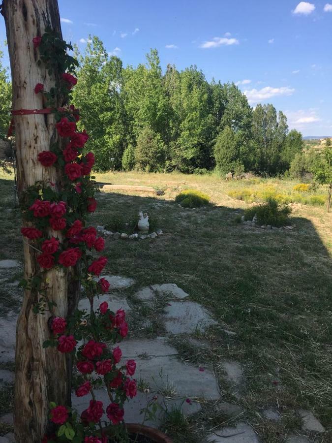 Monolocal Rural Con Encanto Valbona エクステリア 写真